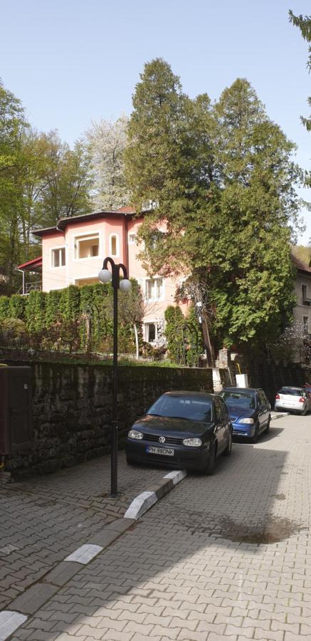 Casa Rosa Villa Baile Olanesti Bagian luar foto
