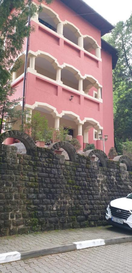 Casa Rosa Villa Baile Olanesti Bagian luar foto