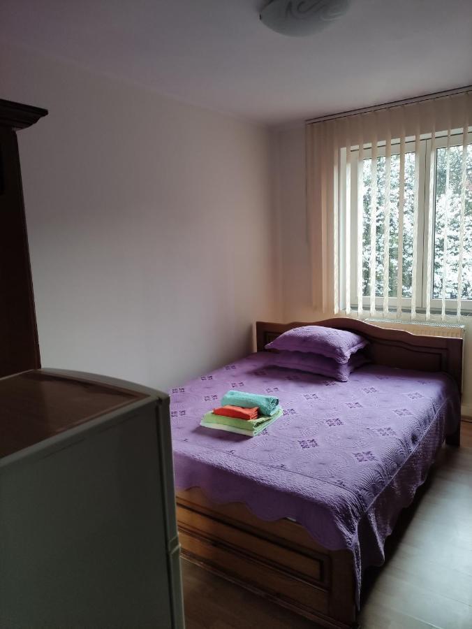 Casa Rosa Villa Baile Olanesti Bagian luar foto