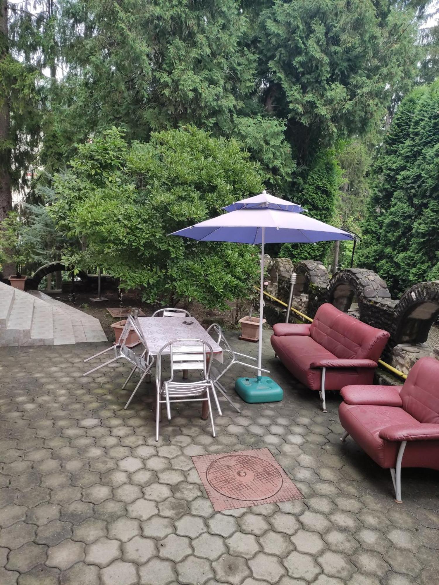 Casa Rosa Villa Baile Olanesti Bagian luar foto